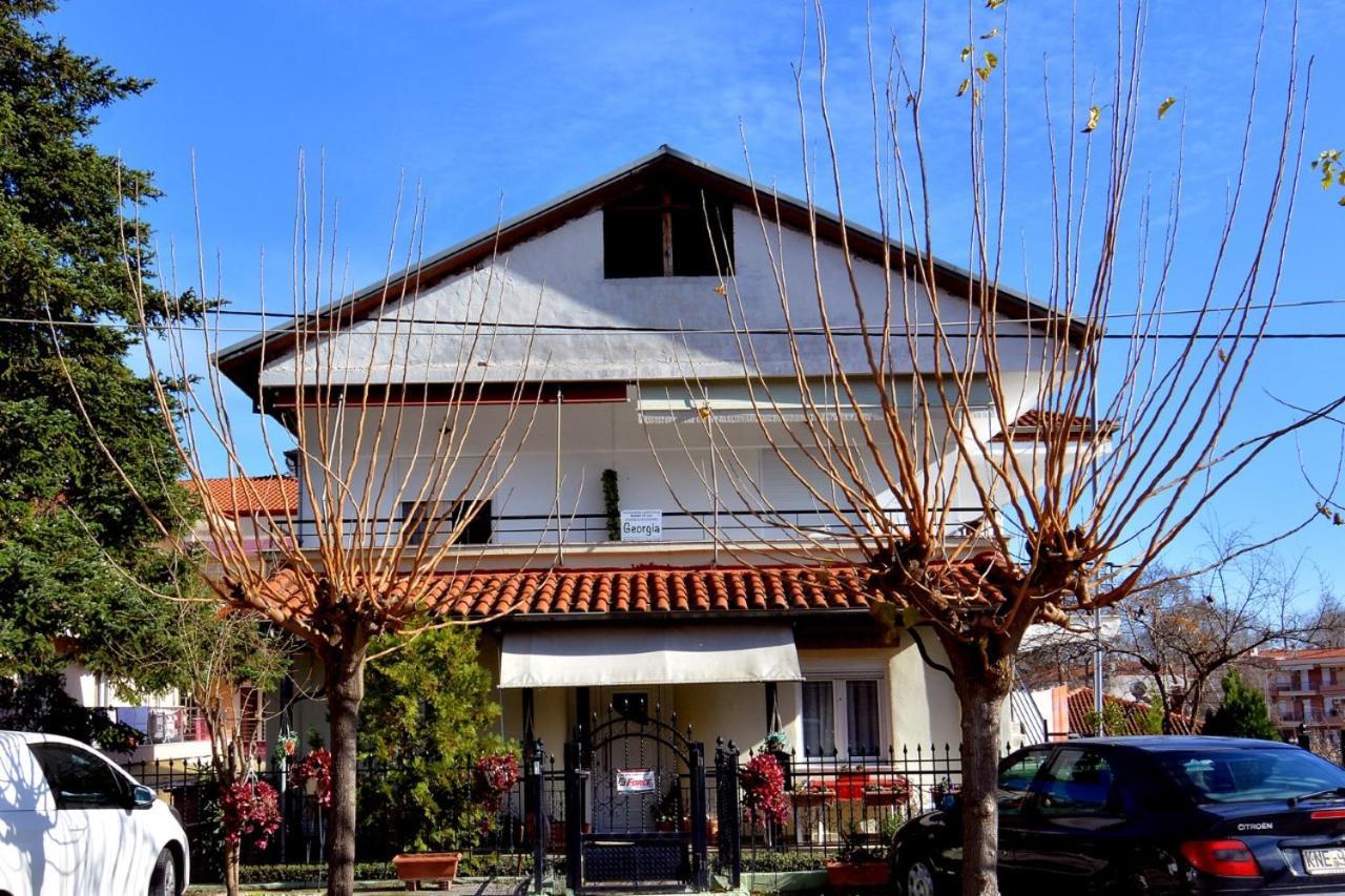 Apartamento Zeusplace Georgia House Leptokarya  Exterior foto